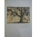FLORICA - ION PILLAT , STEFAN POPESCU  1926 ( ex. 336 / 1003 cu semnaturile autorilor)